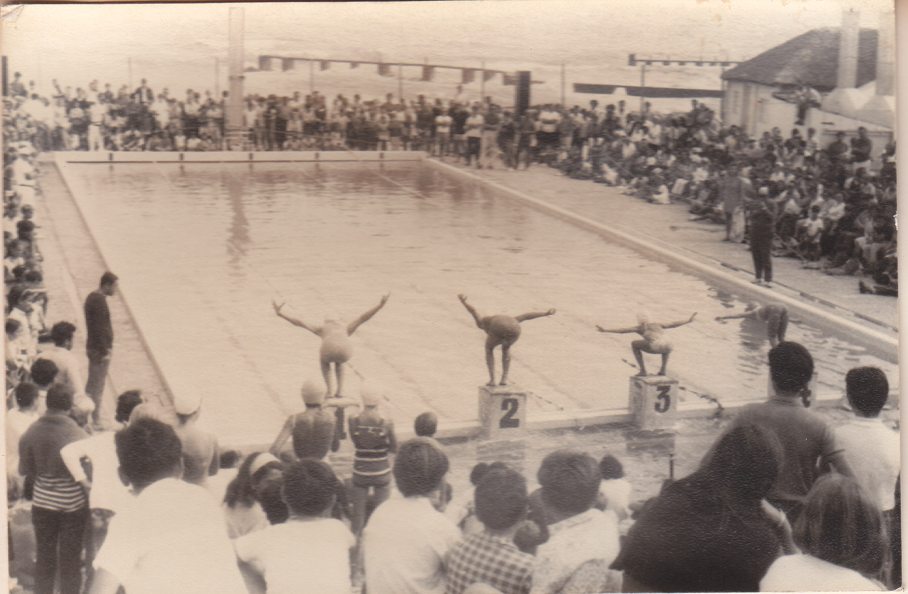 Competencia de natación en la piscina exterior en 1965