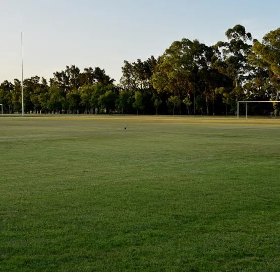Canchas de fútbol de la Sede Solymar